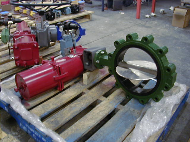 PB190036