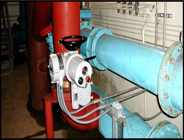Picture22