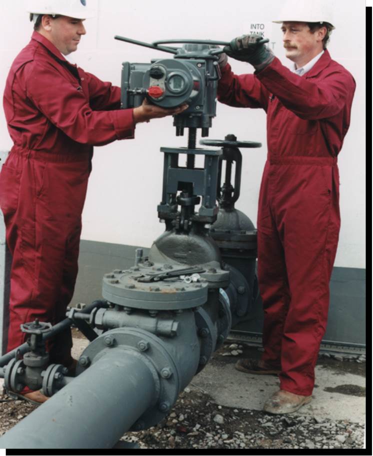 Picture30