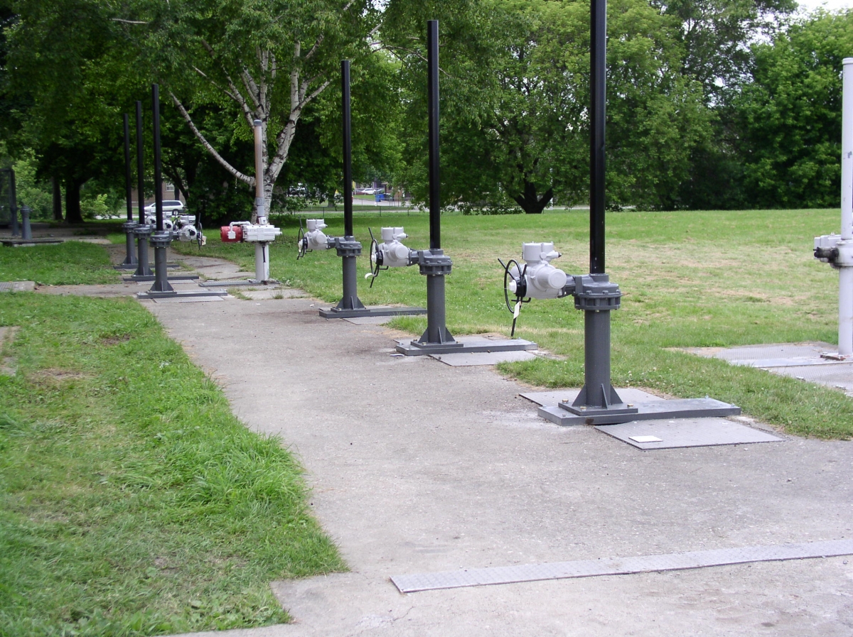 Picture 012