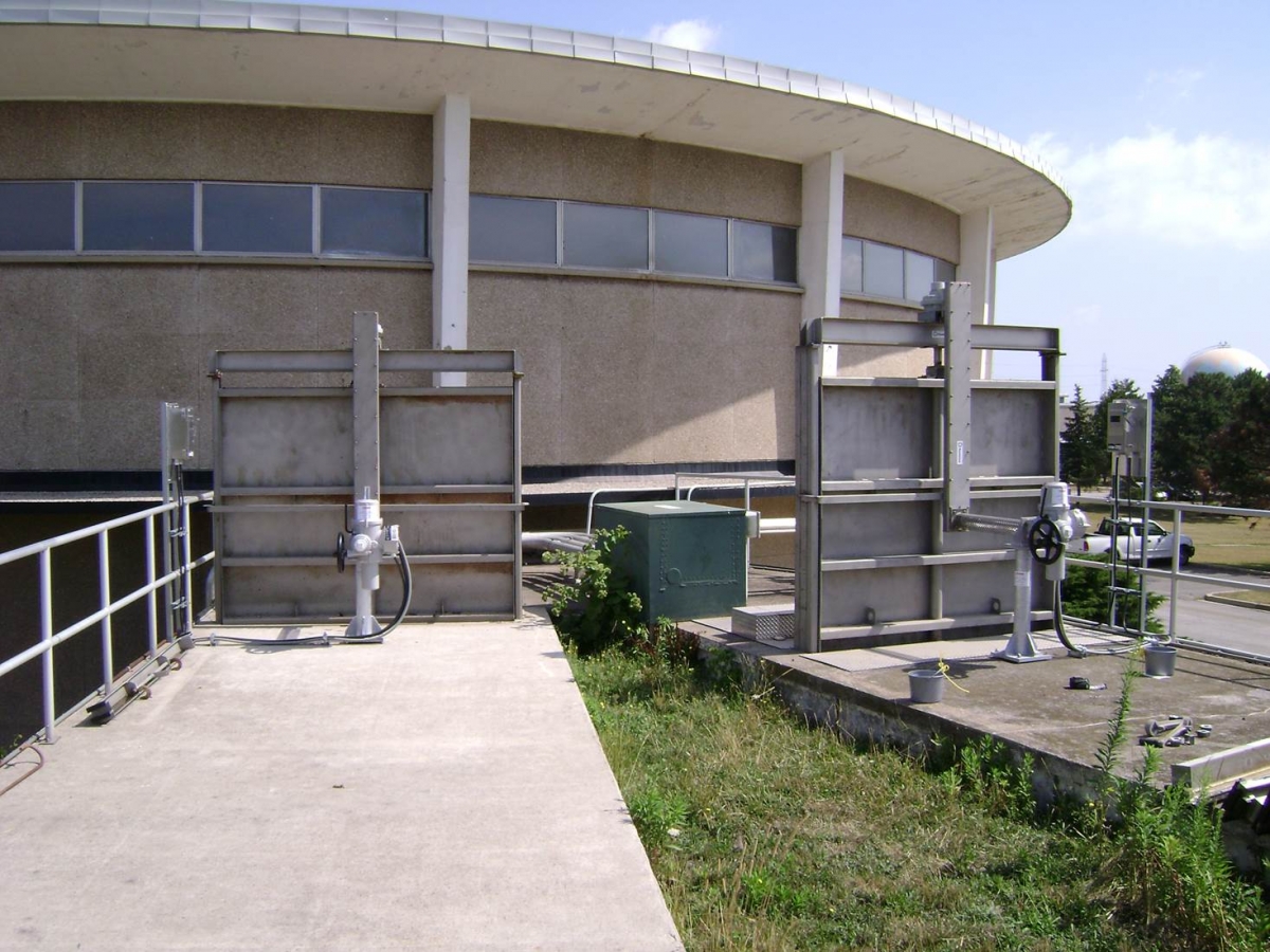 Woodward3